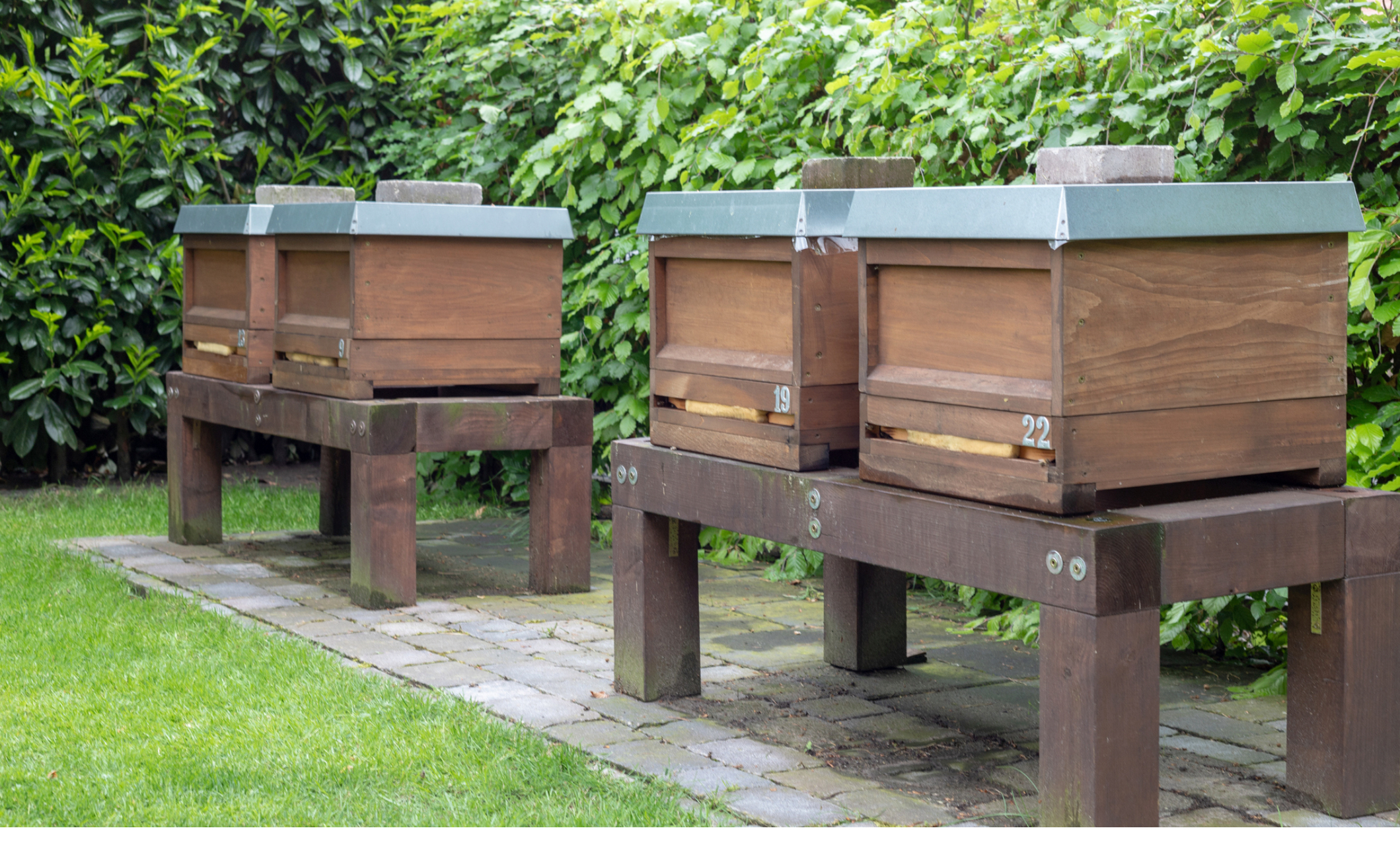 Thriving Hives! Earth Day is April 22nd.